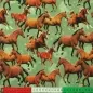 Preview: Jersey braune Pferde Digitaldruck