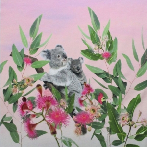 Jersey Koala Panel