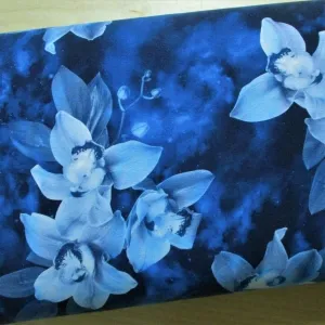 Sommersweat blaue Orchidee