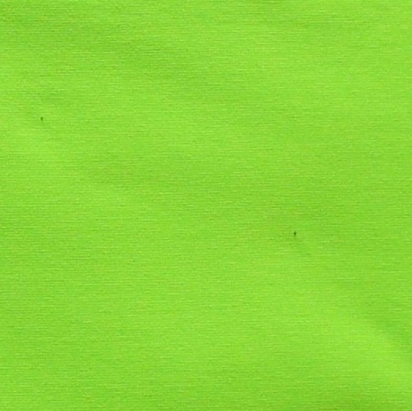 Stretch-Jersey apfelgrün